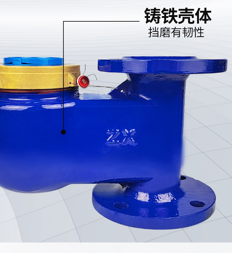 旋翼式大口径立式水表